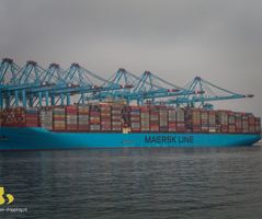 Marstal Maersk - 9619971- 25-07-2020-IMG_1974